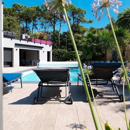 Feriehus Villa D Exception - 10 Personnes - Piscine Et Jacuzzi